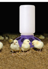 Load image into Gallery viewer, 1 Quart Chicken Feeder &amp; Waterer – Plastic Jar &amp; Base