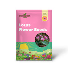 Load image into Gallery viewer, Lotus, Pink Seeds