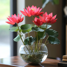 Load image into Gallery viewer, Lotus, Premium Red Seeds