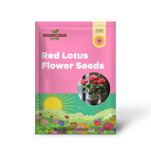 Load image into Gallery viewer, Lotus, Premium Red Seeds