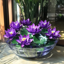 Load image into Gallery viewer, Lotus, Premium Purple Seeds