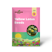 Load image into Gallery viewer, Lotus, Yellow  Seeds