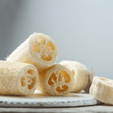 Load image into Gallery viewer, Luffa Gourd – 20 Seeds