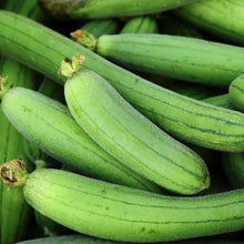 Load image into Gallery viewer, Luffa Seeds