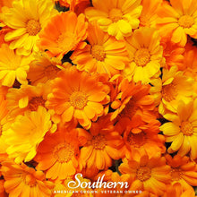 Load image into Gallery viewer, Marigold, English