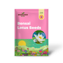 Load image into Gallery viewer, Lotus, Open Mouth Bonsai