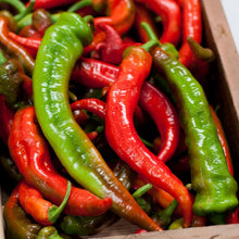Load image into Gallery viewer, Pepper, Nardello Sweet - Organic