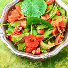 Load image into Gallery viewer, Nasturtium, Alaska Mix