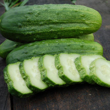 Load image into Gallery viewer, Cucumber, National Pickling - Organic
