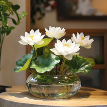 Load image into Gallery viewer, Lotus, Asiatic White Seeds