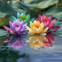 Load image into Gallery viewer, Lotus, Premium Mix Seeds