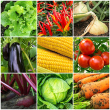 Load image into Gallery viewer, Tomato &amp; Vegetable Plant Food 8-4-8 - Organic