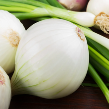Load image into Gallery viewer, Onion, Sweet White Spanish