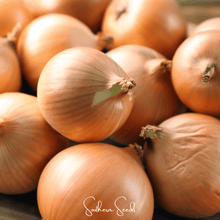 Load image into Gallery viewer, Onion, Texas Grano Early