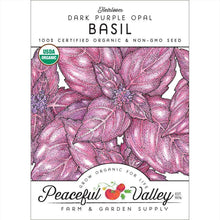 Load image into Gallery viewer, Basil, Dark Purple Opal - Organic