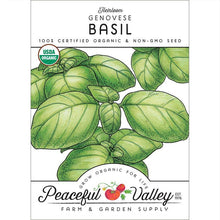 Load image into Gallery viewer, Basil, Genovese - Organic