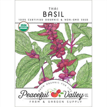 Load image into Gallery viewer, Basil, Thai - Organic