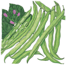 Load image into Gallery viewer, Bean, Tendergreen Bush - Organic