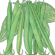 Load image into Gallery viewer, Bean, French Garden - Organic