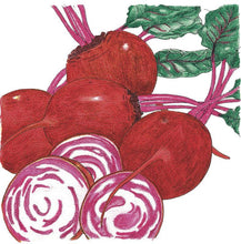 Load image into Gallery viewer, Beet, Chioggia - Organic