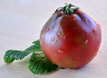 Load image into Gallery viewer, Tomato, Japanese Black Truffle - Organic