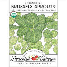 Load image into Gallery viewer, Brussels Sprouts, Darkmar 21 - Organic