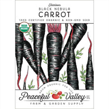Load image into Gallery viewer, Carrot, Black Nebula - Organic