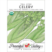 Load image into Gallery viewer, Celery, Tall Utah - Organic