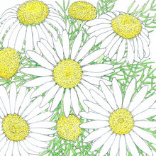 Load image into Gallery viewer, Chamomile - Organic