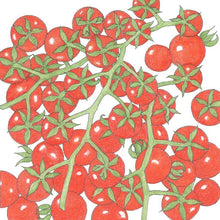 Load image into Gallery viewer, Tomato, Cherry Matt's Wild - Organic