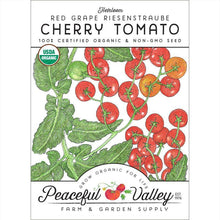 Load image into Gallery viewer, Tomato, Cherry Red Grape Riesenstraube - Organic