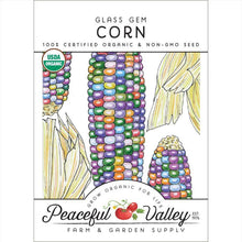 Load image into Gallery viewer, Corn, Glass Gem - Organic