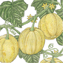 Load image into Gallery viewer, Cucumber, Lemon - Organic