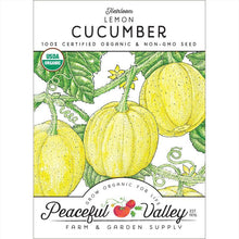 Load image into Gallery viewer, Cucumber, Lemon - Organic