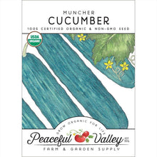 Load image into Gallery viewer, Cucumber, Muncher - Organic