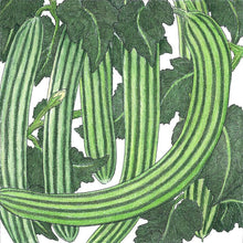 Load image into Gallery viewer, Cucumber, Striped - Organic