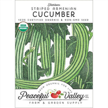 Load image into Gallery viewer, Cucumber, Striped - Organic