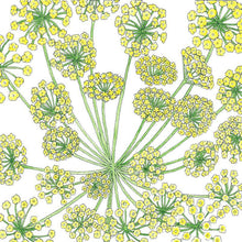 Load image into Gallery viewer, Dill, Mammoth - Organic