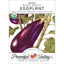 Load image into Gallery viewer, Eggplant, Black Beauty - Organic