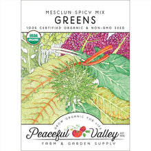 Load image into Gallery viewer, Greens, Mesclun Spicy Mix - Organic