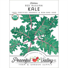 Load image into Gallery viewer, Kale, Red Russian - Organic