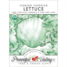 Load image into Gallery viewer, Lettuce, Iceberg - Organic