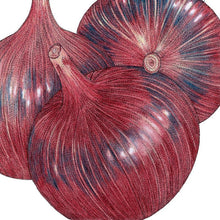 Load image into Gallery viewer, Onion, Cabernet - Organic