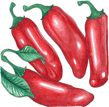 Load image into Gallery viewer, Pepper, Hot Jalapeno Early - Organic
