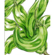 Load image into Gallery viewer, Pepper, Shishito - Organic