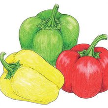 Load image into Gallery viewer, Pepper, Mini Bell Mix Sweet - Organic