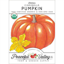 Load image into Gallery viewer, Pumpkin, Cinderella - Organic