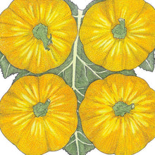 Load image into Gallery viewer, Pumpkin, Jack Be Little - Organic