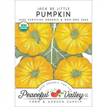 Load image into Gallery viewer, Pumpkin, Jack Be Little - Organic