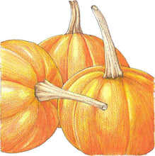 Load image into Gallery viewer, Pumpkin, Small Sugar - Organic